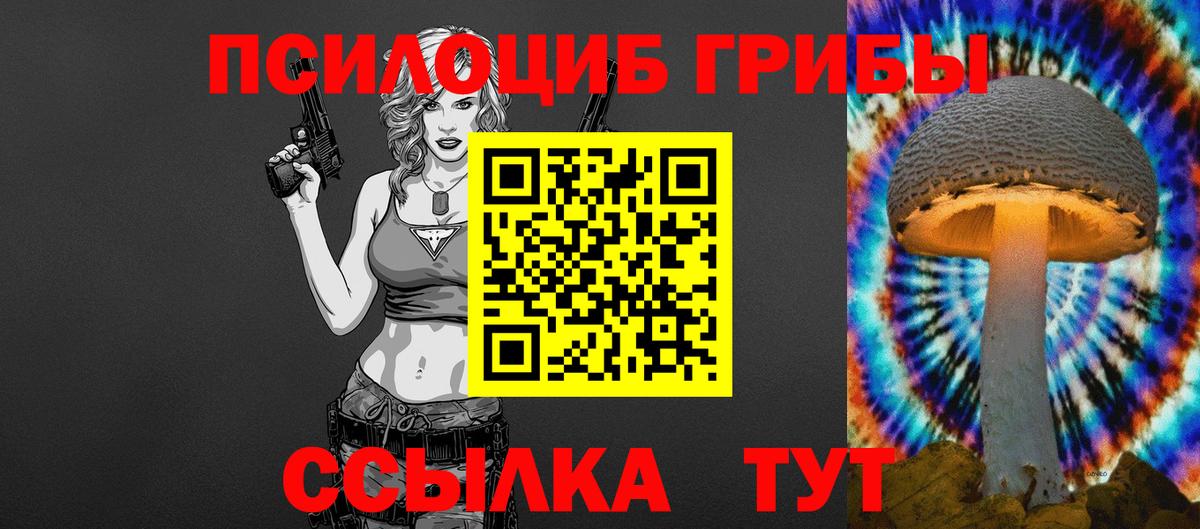 Карачаевск  Псилоцибиновые грибы мухоморы  Галлюциногенные грибы прущие грибы  Вход с VPN 